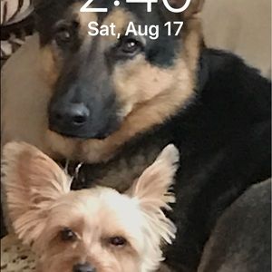 Meet your Posher, John